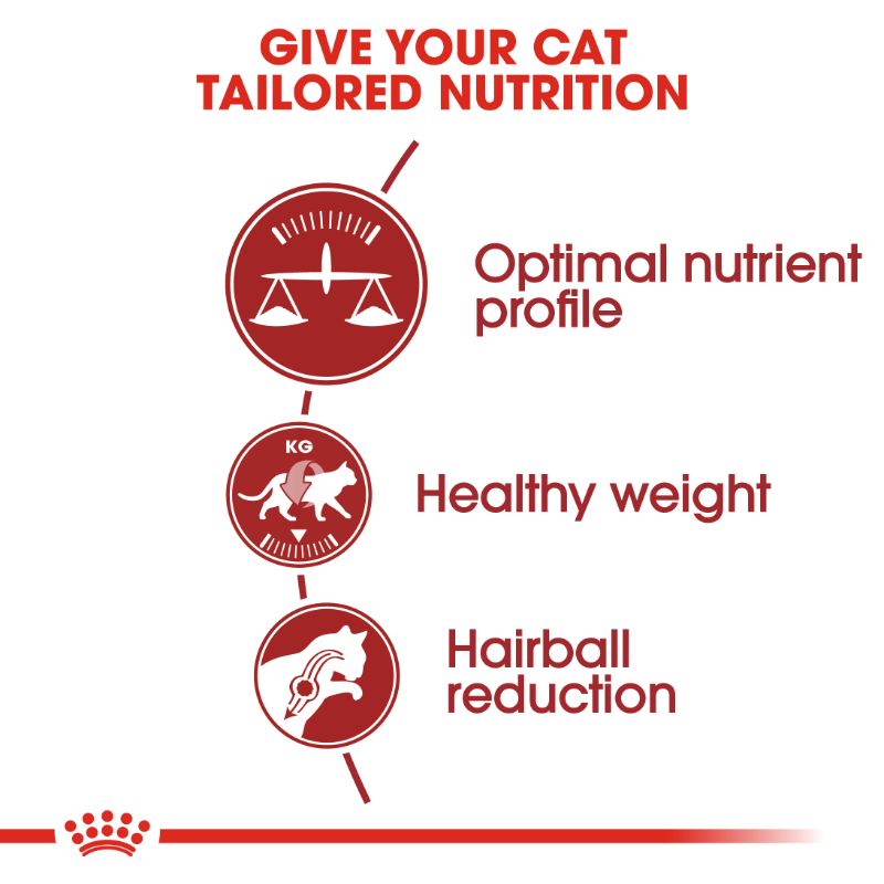 Royal Canin Fit Cat Food (10Kg) – LuckyPets