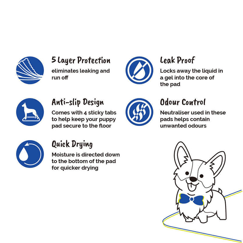 POTTY TRAINING PADS (25 Pcs) LuckyPets