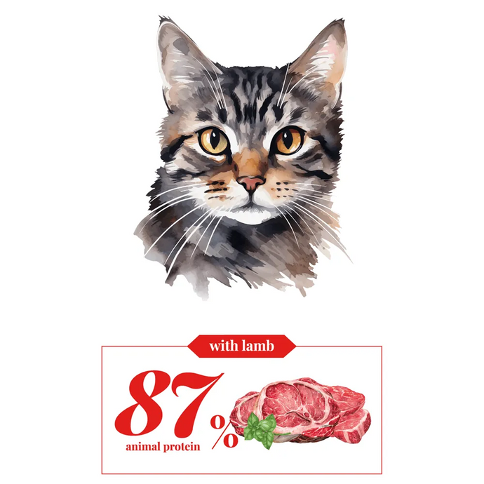 Adult Cat - Lamb - Cebican Cosmo - Cat Food (1.5kg-7kg)