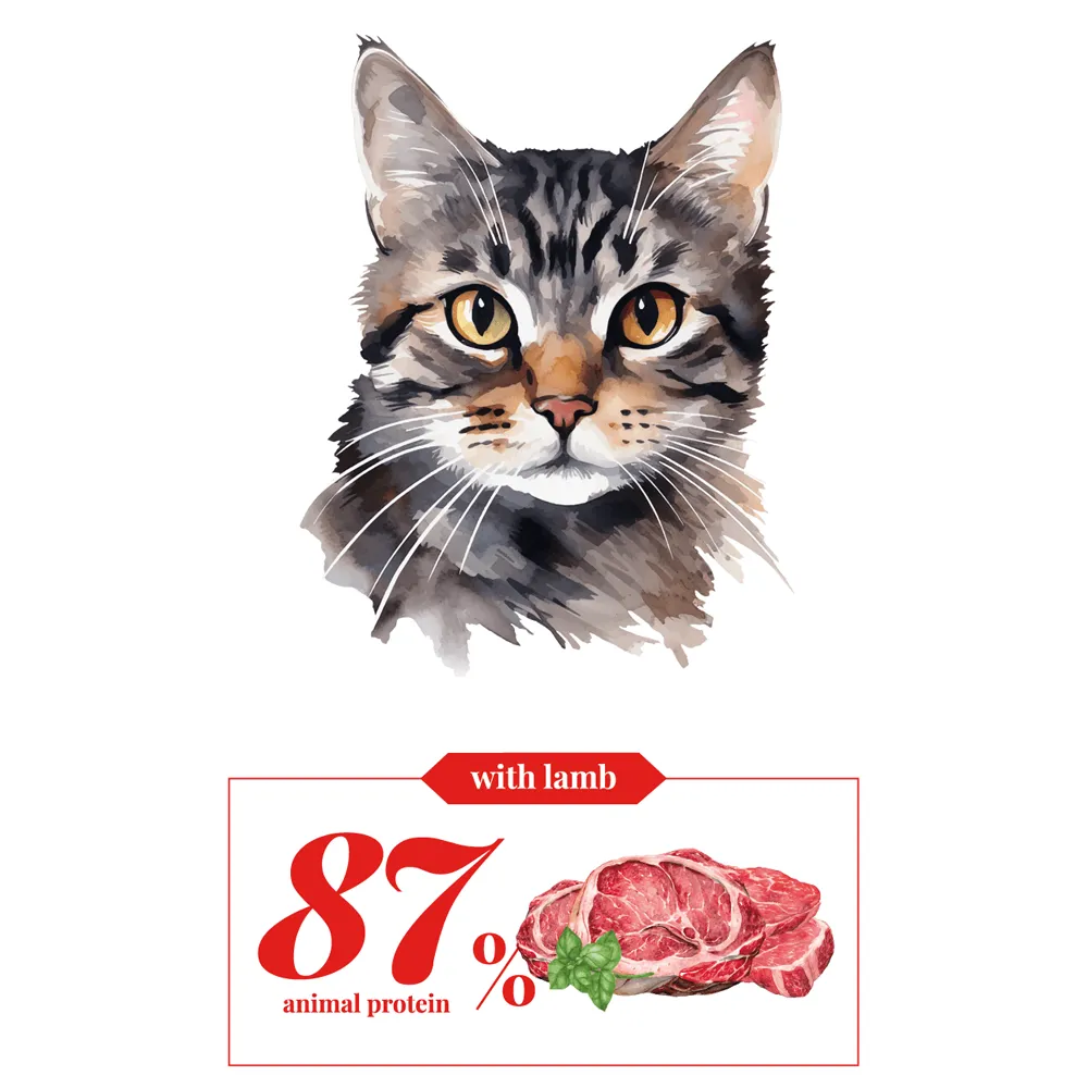 Adult Cat - Lamb - Cebican Cosmo - Cat Food (1.5kg-7kg)