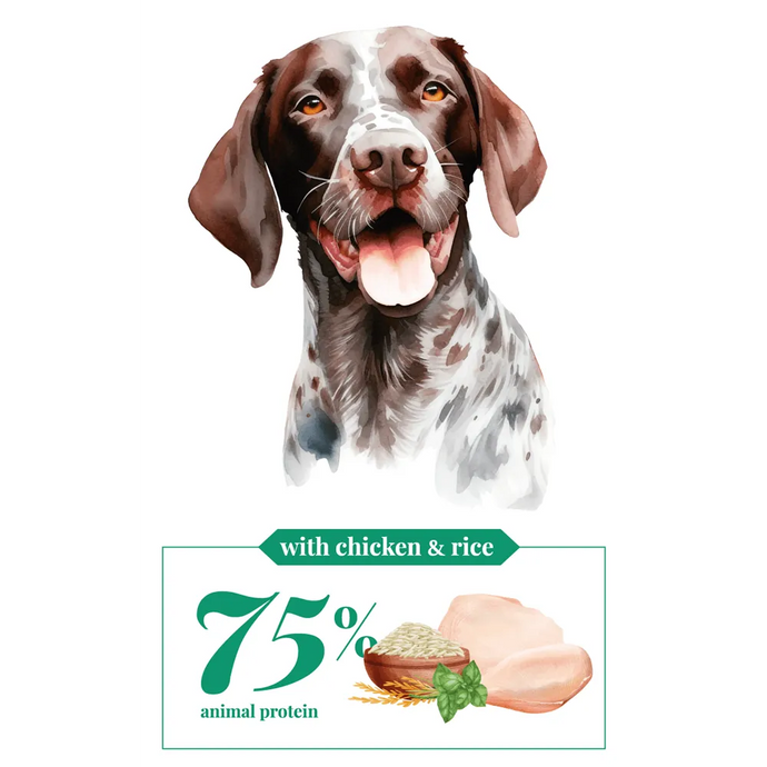 Daily Care - Chicken & Rice - Large Breed - Adult - Cebican Cosmo - Dog Food (12kg/20kg)