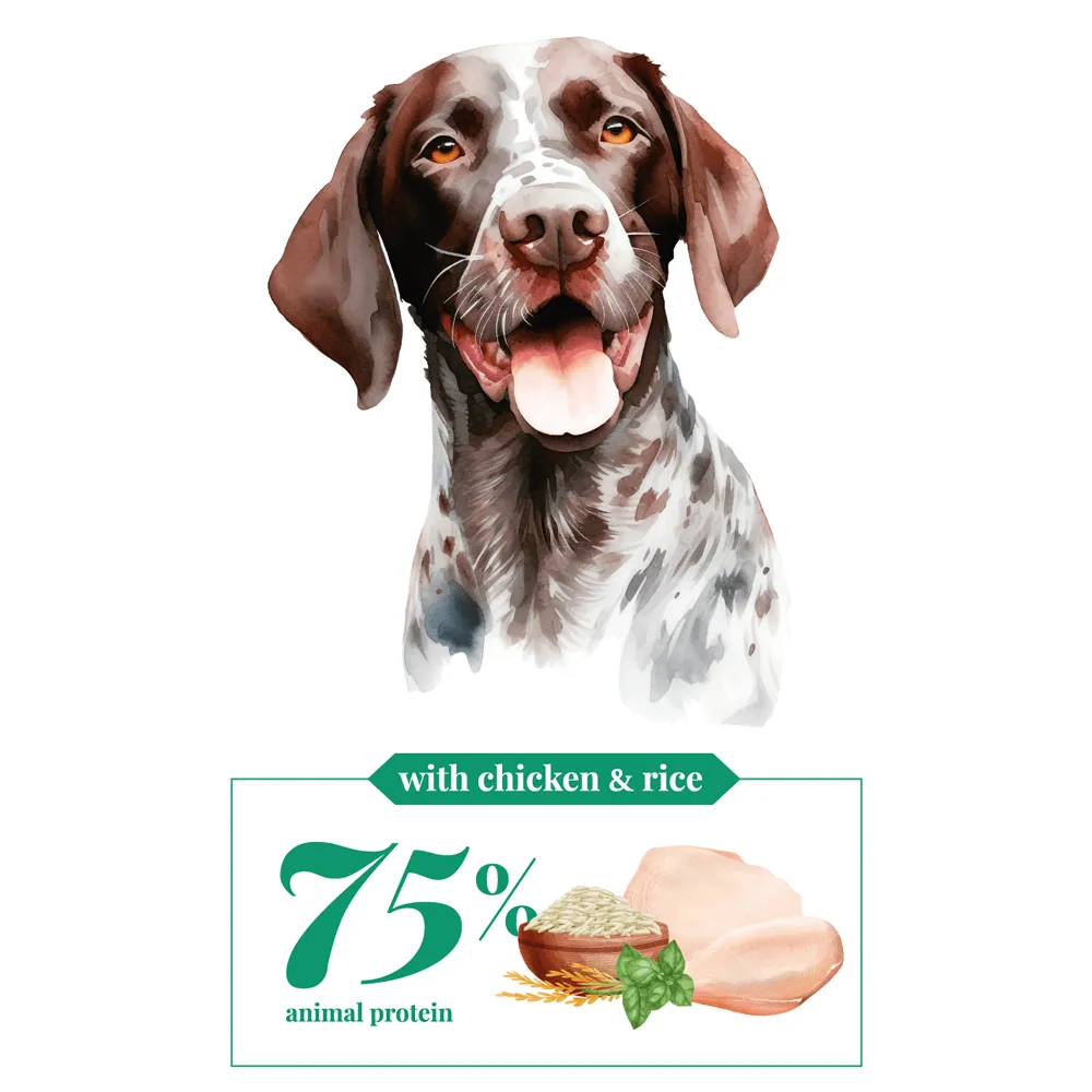 Daily Care - Chicken & Rice - Large Breed - Adult - Cebican Cosmo - Dog Food (12kg/20kg)