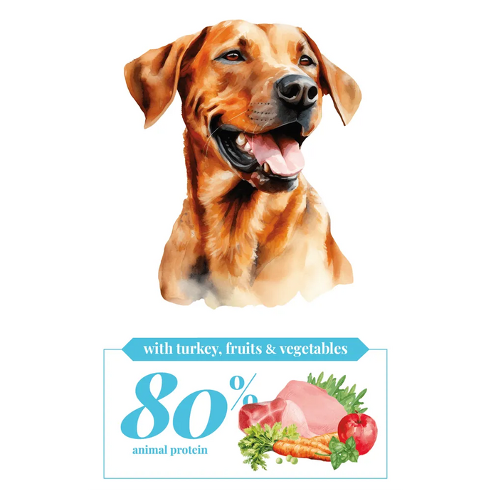 Fit & Light - Turkey, Fruits & Vegetables - Adult - Cebican Cosmo - Dog Food - 3kg