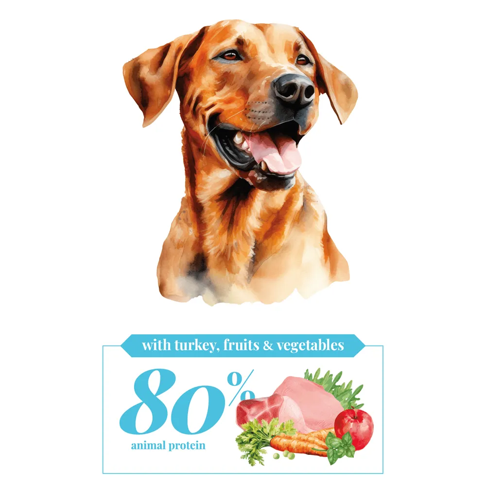 Fit & Light - Turkey, Fruits & Vegetables - Adult - Cebican Cosmo - Dog Food - 3kg