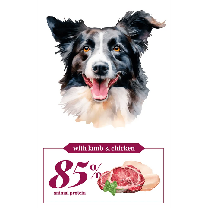 High Energy - Lamb & Chicken - Adult - Cebican Cosmo - Dog Food (3kg/12kg)