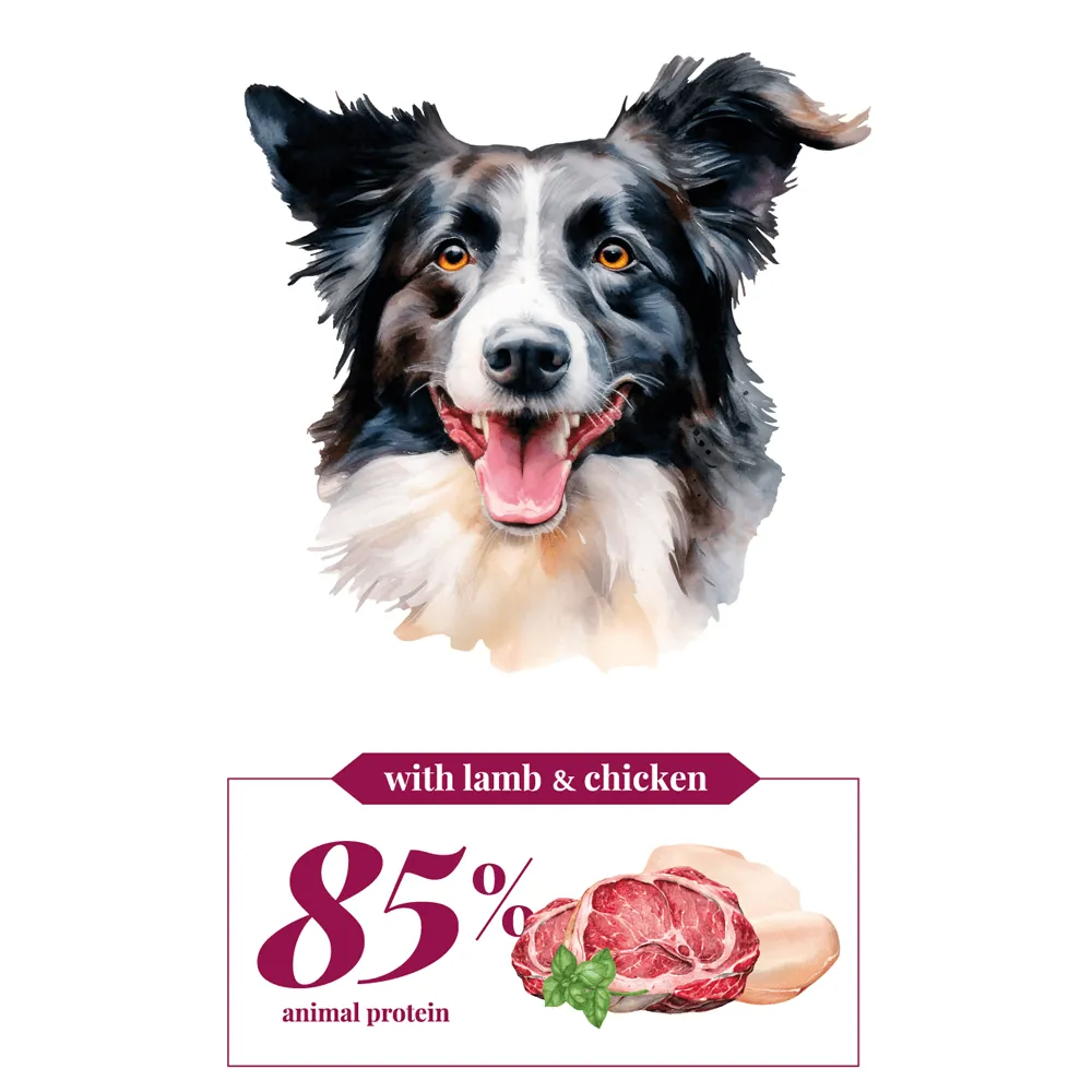 High Energy - Lamb & Chicken - Adult - Cebican Cosmo - Dog Food (3kg/12kg)