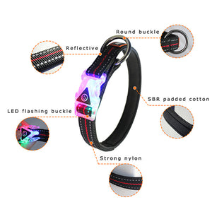 GLOWY Led Buckle Collar & Leash