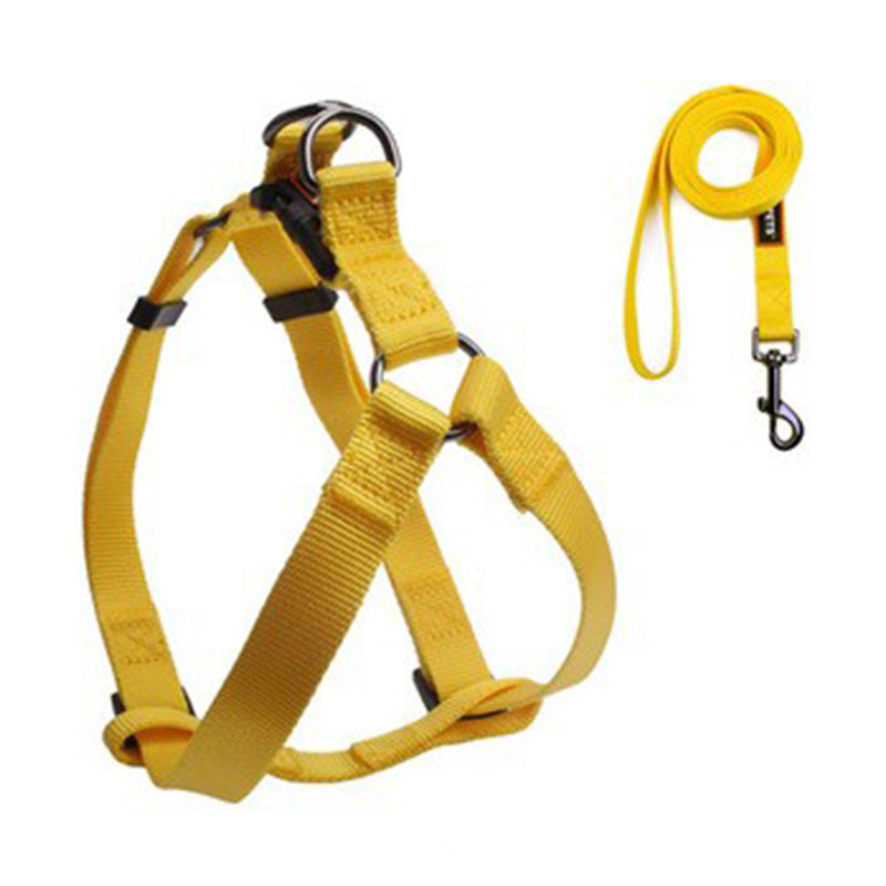 THUNDER Harness & Leash