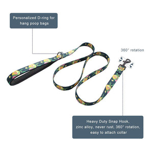 TAG Double Padded Collar & Leash