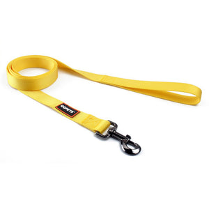 THUNDER Harness & Leash