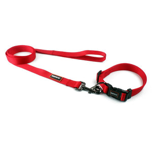 WALDO Collar & Leash