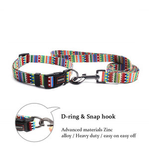 DIZZY Collar & Leash