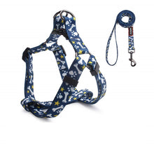 Load image into Gallery viewer, POOKIE Harness &amp; Leash