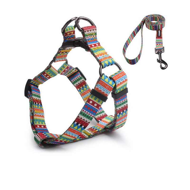 DIZZY Harness & Leash