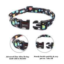 Load image into Gallery viewer, STARDUST Collar &amp; Leash