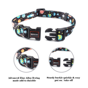 STARDUST Collar & Leash