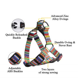 DIZZY Harness & Leash