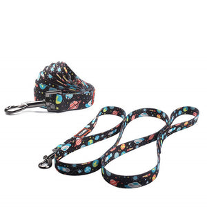 STARDUST Collar & Leash