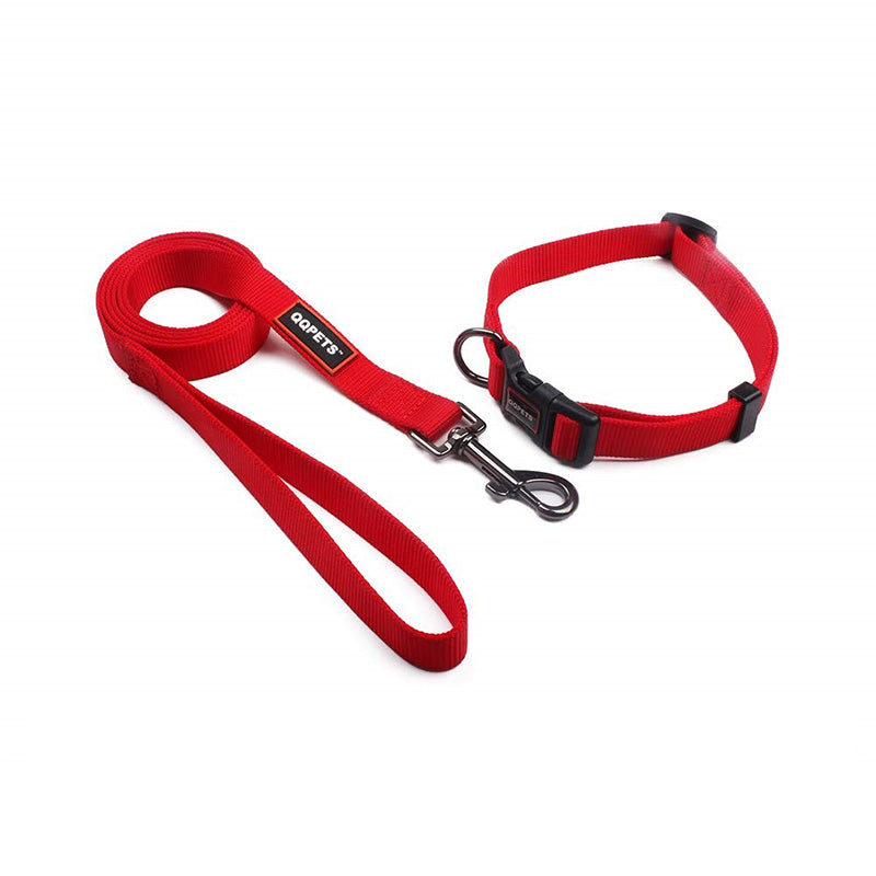 WALDO Collar & Leash