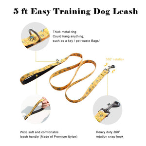 GUSSY Double Padded Collar & Leash