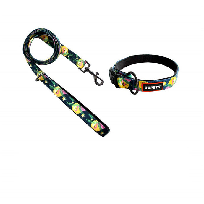 TAG - Double Padded Collar & Leach (Size Variants Available)