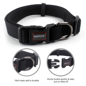 BOOZER Collar & Leash