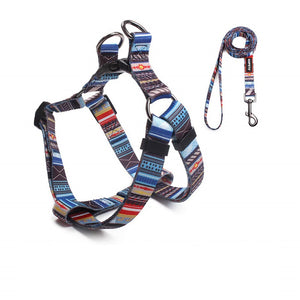 NOVA Harness & Leash