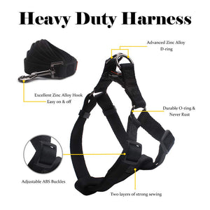 BOOZER Harness & Leash