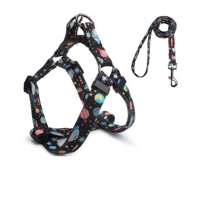 STARDUST Harness & Leash