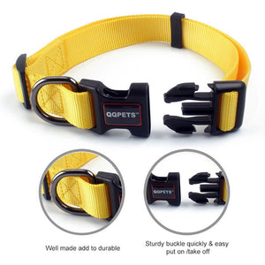 THUNDER Collar & Leash