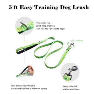 BASIL Collar & Leash