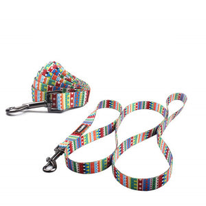 DIZZY Collar & Leash