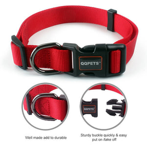 WALDO Collar & Leash