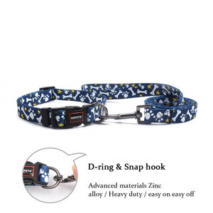 POOKIE Collar & Leash