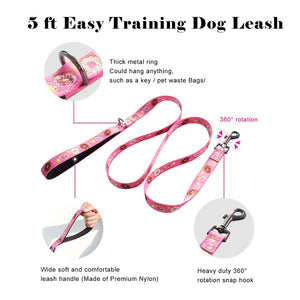 CHARLOTTE Double Padded Collar & Leash