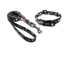 Load image into Gallery viewer, STARDUST Collar &amp; Leash