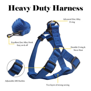 SKY Harness & Leash