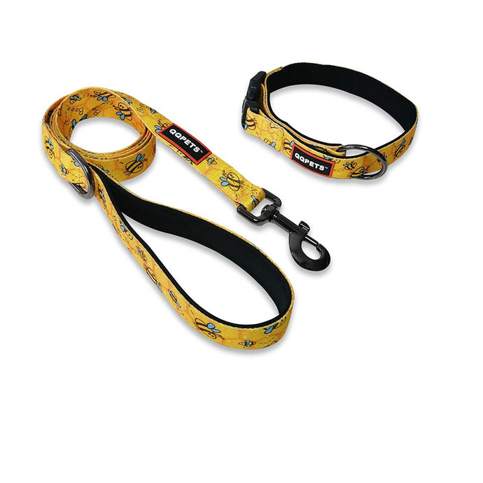 GUSSY - Double Padded Collar & Leach