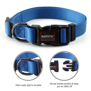 SKY Collar & Leash