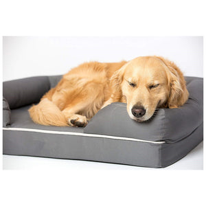 Indoor Water-Resistant Foam Bed - 66 x 89 x 10cm