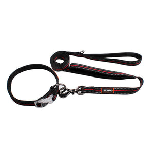 GLOWY Led Buckle Collar & Leash