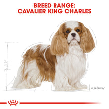 Load image into Gallery viewer, Royal Canin Cavalier King Charles (1.5Kg)