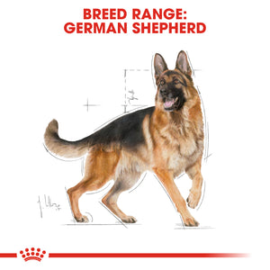 Royal Canin German Shepherd Adult  (11Kg)