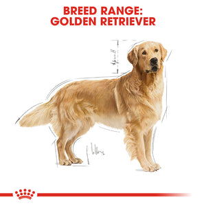 Royal Canin Golden Retriever Adult (12Kg)