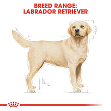 Load image into Gallery viewer, Royal Canin Labrador Retriever Adult (12Kg)