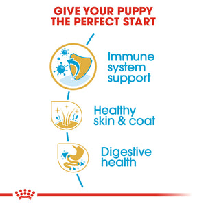 Royal Canin Golden Retriever Puppy (12Kg)