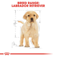 Load image into Gallery viewer, Royal Canin Labrador Retriever Puppy (12Kg)