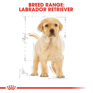 Royal Canin Labrador Retriever Puppy (12Kg)