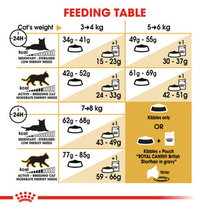 Royal Canin British Shorthair Adult Cat Food (2Kg)