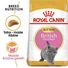 Load image into Gallery viewer, Royal Canin British Shorthair Kitten Cat Food  (2Kg)